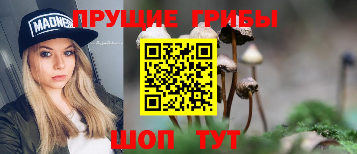 Псилоцибиновые грибы мухоморы  Вход с VPN  Верхняя Салда 